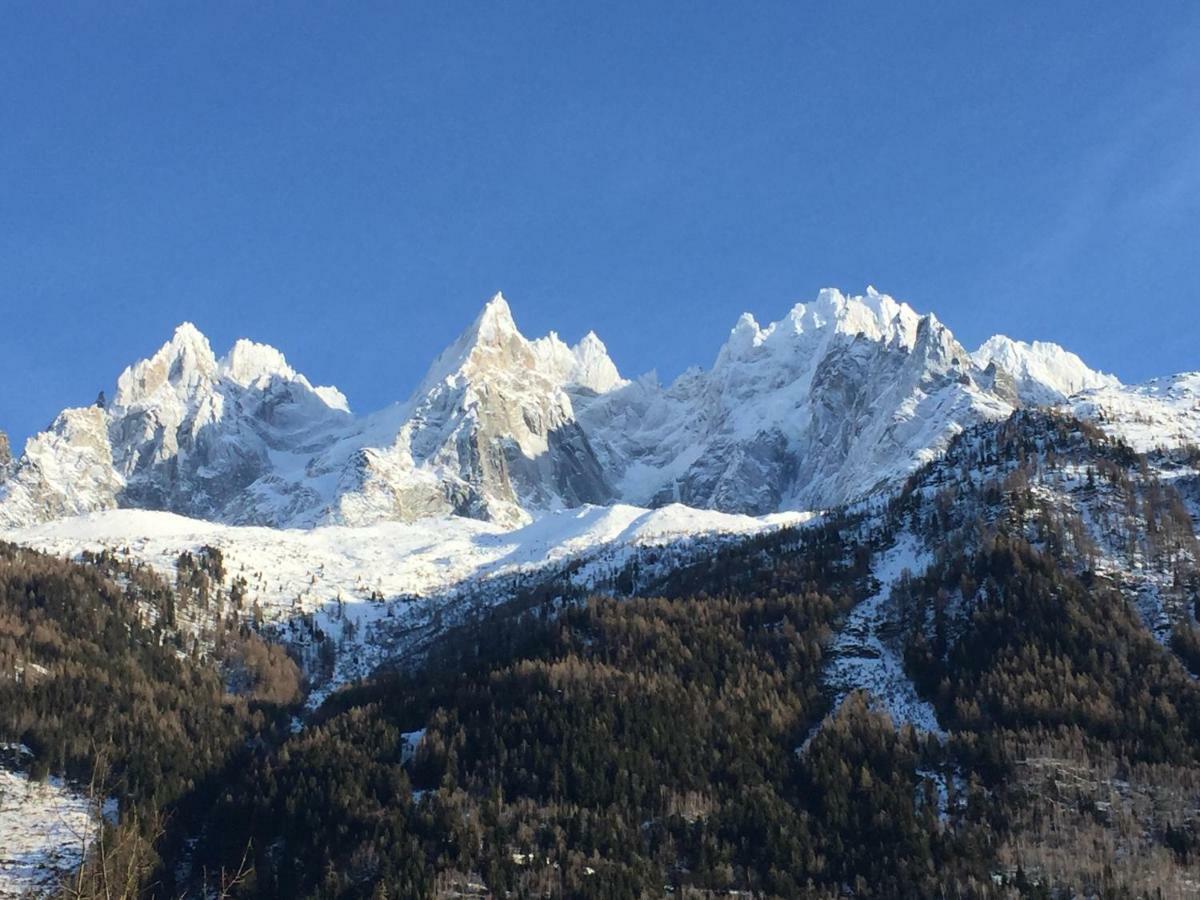 Le Petit M Chamonix Au Pied Du Brevent Apartment ภายนอก รูปภาพ